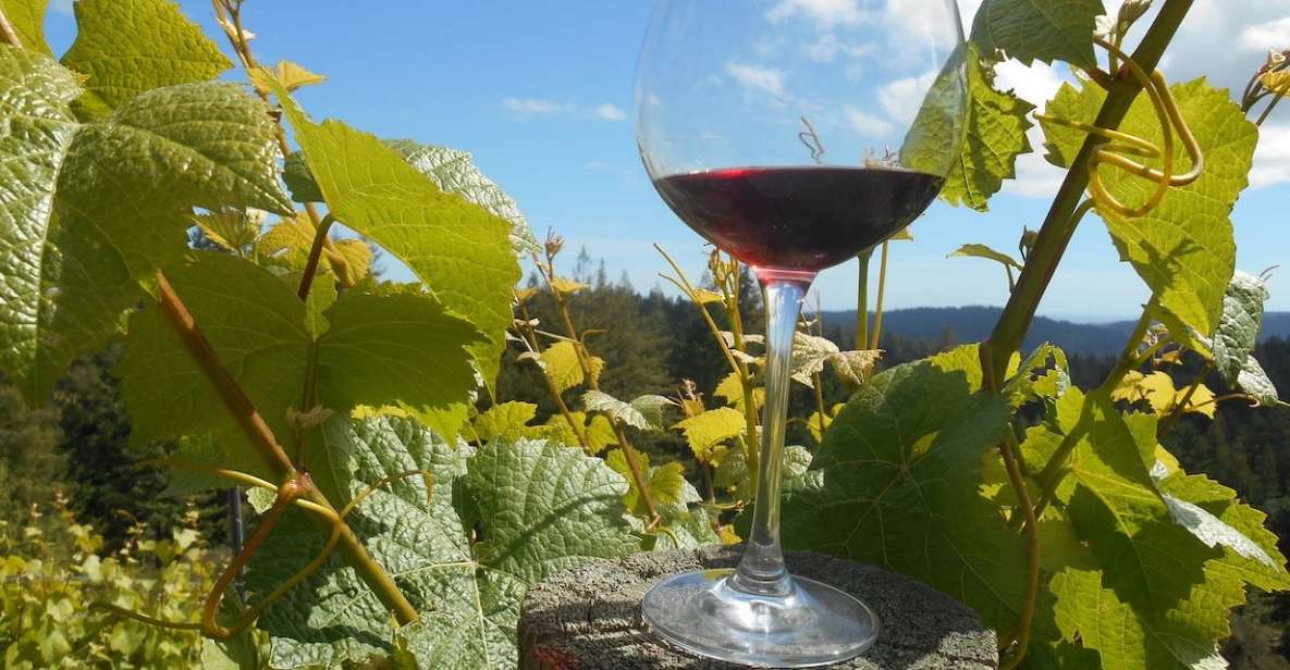 Carmel Valley Wine Tasting Tour - Highlights of the Experience