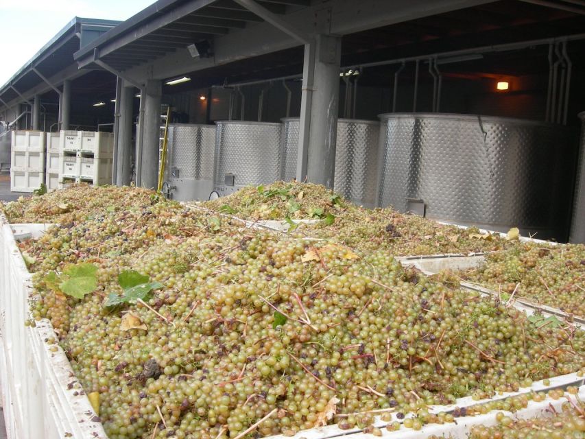 Carmel Valley Wine Tasting Tour - Pickup and Drop-off