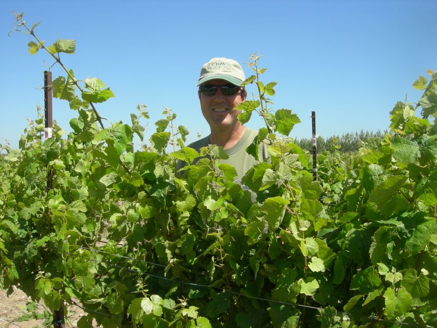 Carmel Valley Wine Tasting Tour - Guided Vineyard Walk
