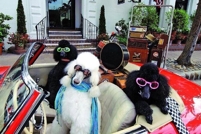 Carmel Walk Guided Tour Carmel by the Sea - FAQ