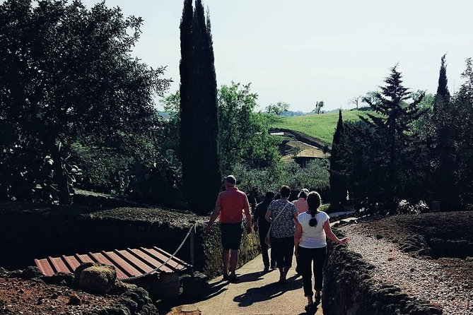 Carmona and Necropolis: Guided Day Tour From Seville - Reviews and Experiences