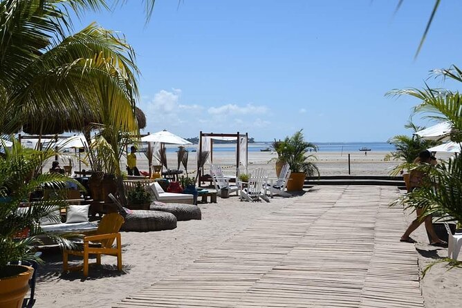 Carneiros Beach Tour With Catamaran (Bora Bora) - Why Choose This Tour