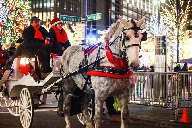 Carriage Ride in Central Park (VIP - PRIVATE) Since 1964™ - Tour Highlights