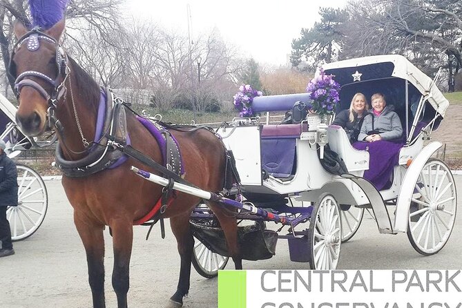 Carriage Ride in Central Park (VIP - PRIVATE) Since 1964™ - Unique Perspective of the City
