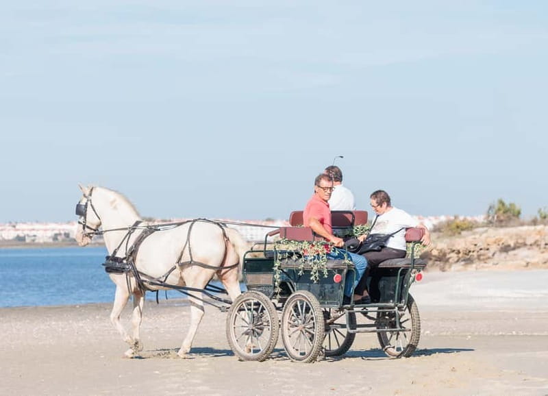 CARRIAGE Ride On The Beach (Rosário Beach) - Key Points
