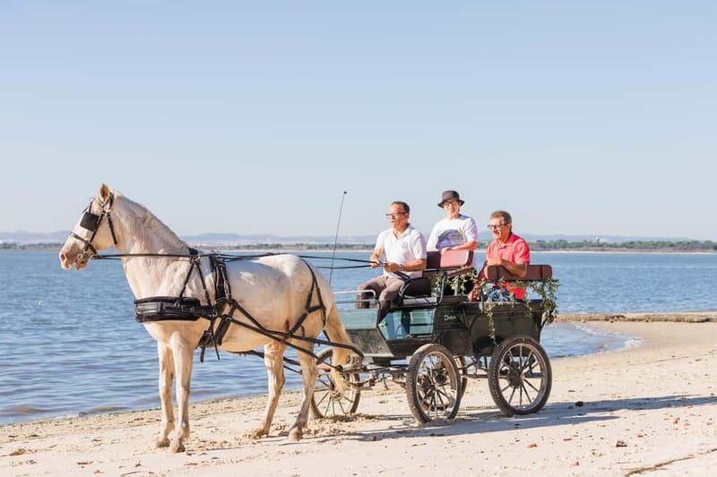 CARRIAGE Ride On The Beach (Rosário Beach) - An Inviting Ride Along Rosário Beach