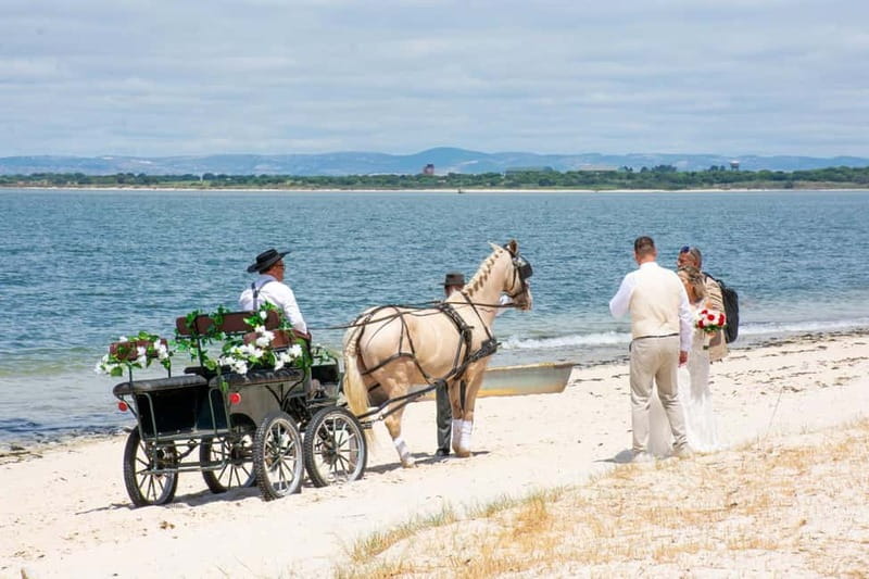 CARRIAGE Ride On The Beach (Rosário Beach) - What’s Included and How It Works