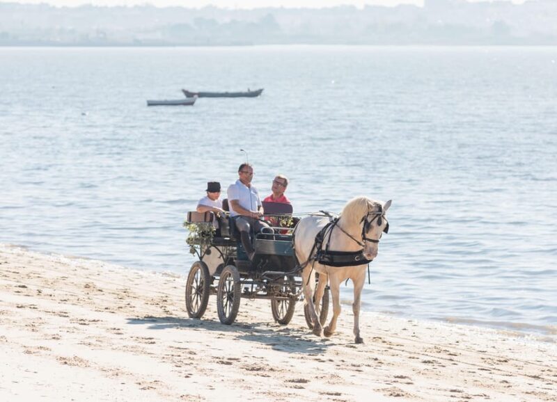 CARRIAGE Ride On The Beach (Rosário Beach) - Final Thoughts: Why This Tour Is Worth Considering