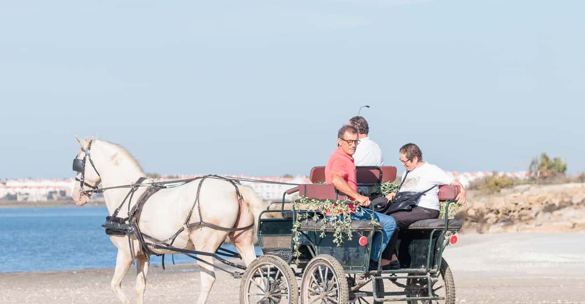 CARRIAGE Ride On The Beach (Rosário Beach) - What This Experience Offers