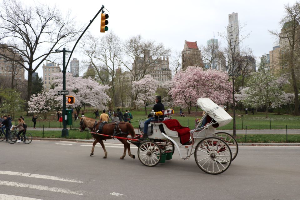 Carriage Ride To/From Tavern on the Green (Up to 4 Adults) - Inclusions and Exclusions