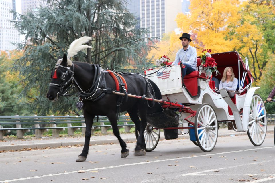 Carriage Ride To/From Tavern on the Green (Up to 4 Adults) - Accessibility Considerations