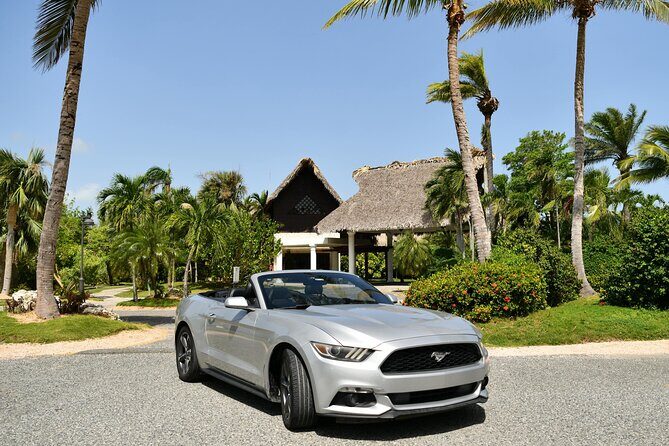 Cars for Rent in Punta Cana - The Sum Up