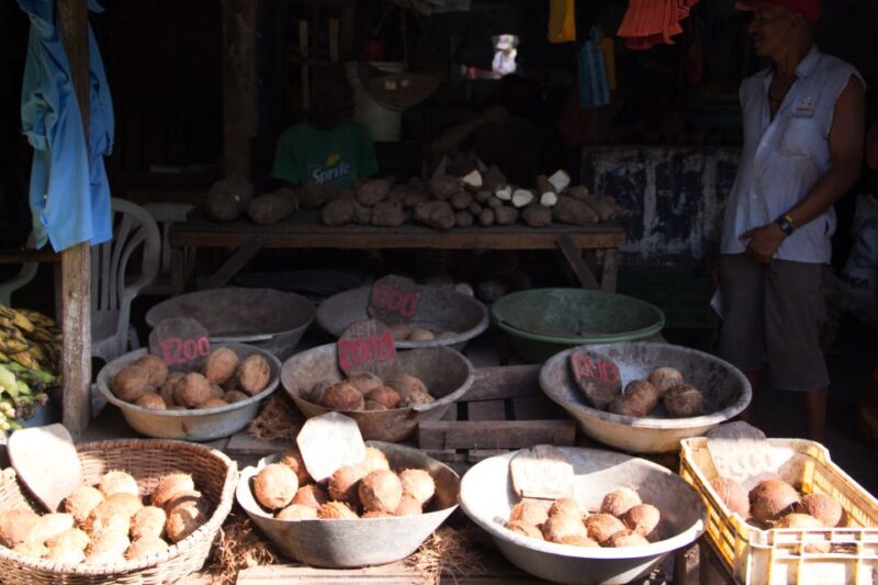 Cartagena: 3-Hour Bazurto Market Tour - Experience Highlights