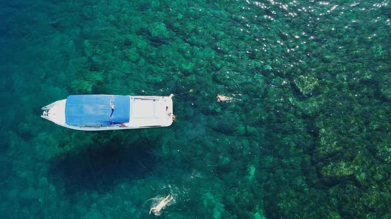 Cartagena: Cartagena Bay Swimming Route - What to Expect on the Cartagena Bay Swimming Route