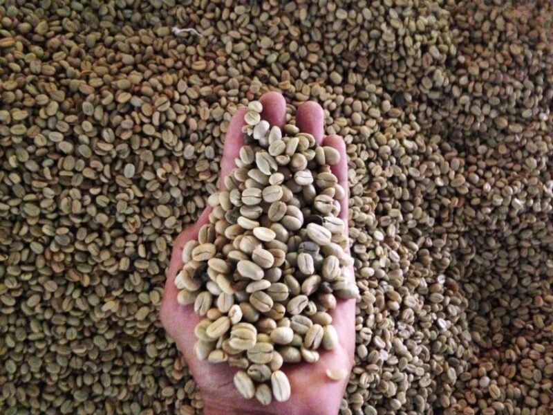 Cartagena: Full-Day Coffee & Cocoa Farm Tour - Pricing and Booking Information