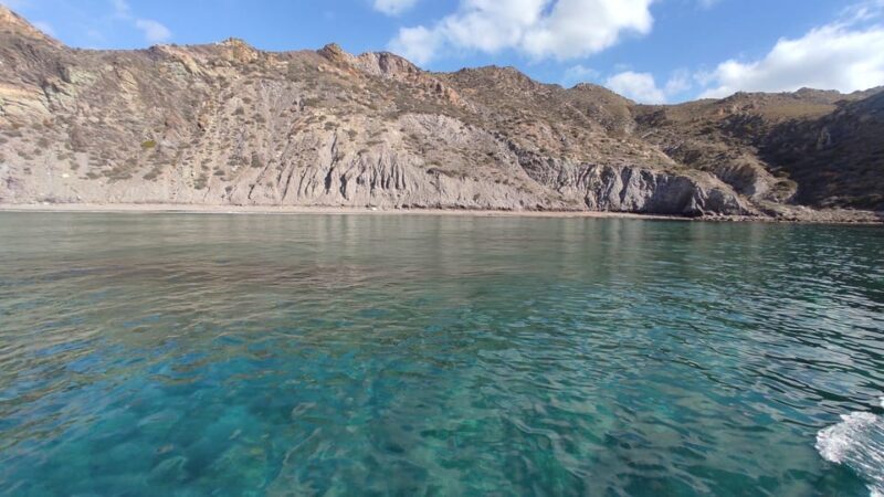 Cartagena: Guided tour by boat to the Isla de las Palomas - Who Should Book This Tour?