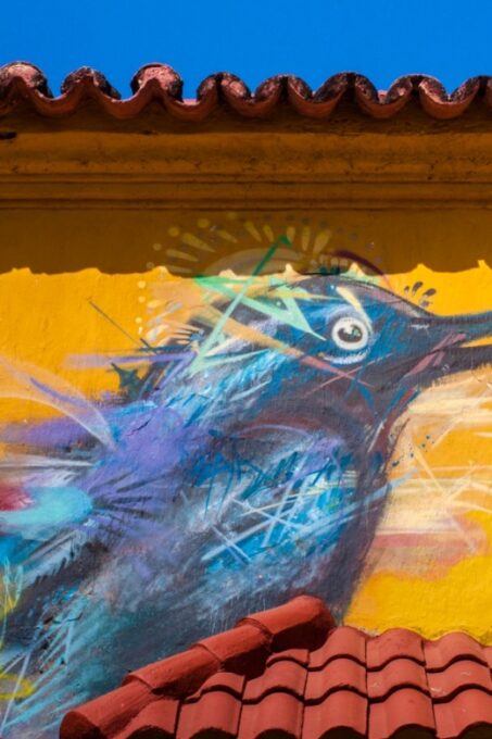 Cartagena Instagram Mobile Workshop: Scenic and Trendy Shots - Frequently Asked Questions