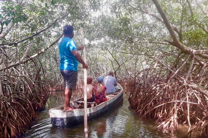 Cartagena Mangrove Tour - Good To Know