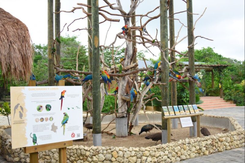 Cartagena: National Aviary of Colombia Entrance Tickets - Visitor Experience Highlights