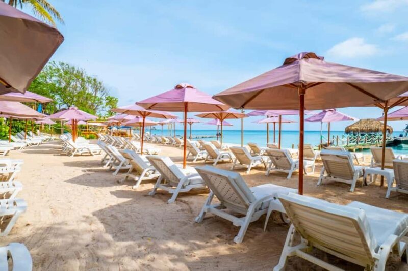 Cartagena: Rosario Island Beach Club Day Trip and OPEN BAR - The Sum Up: Who Will Love This Tour?