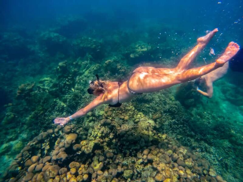 Cartagena: Rosario Islands Day Tour with Snorkel & Lunch - What’s Included and What to Keep in Mind