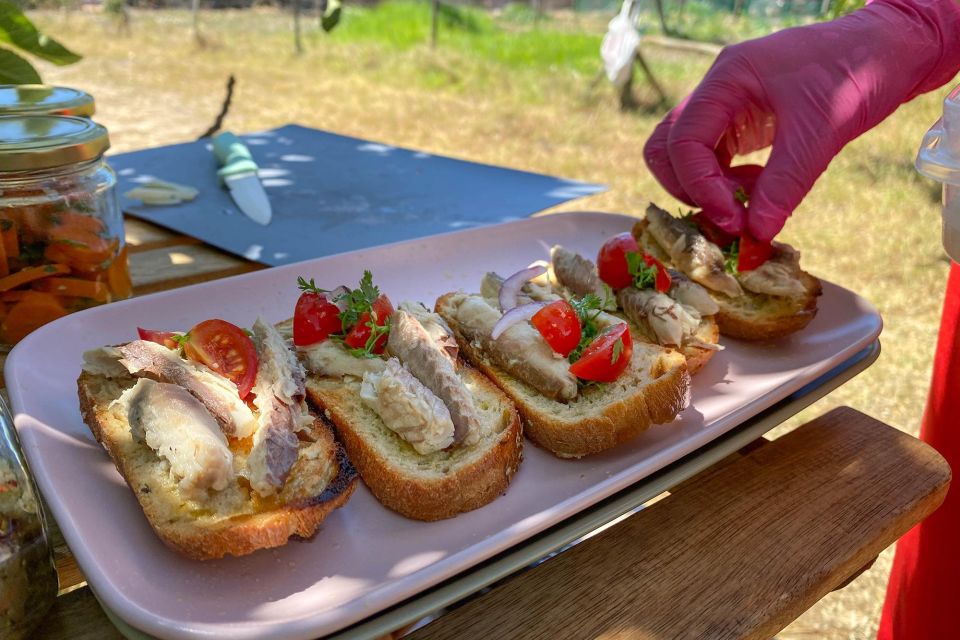 Carvoeiro and Portimão: Algarve Romantic Vineyard Picnic - Pickup and Drop-off Locations
