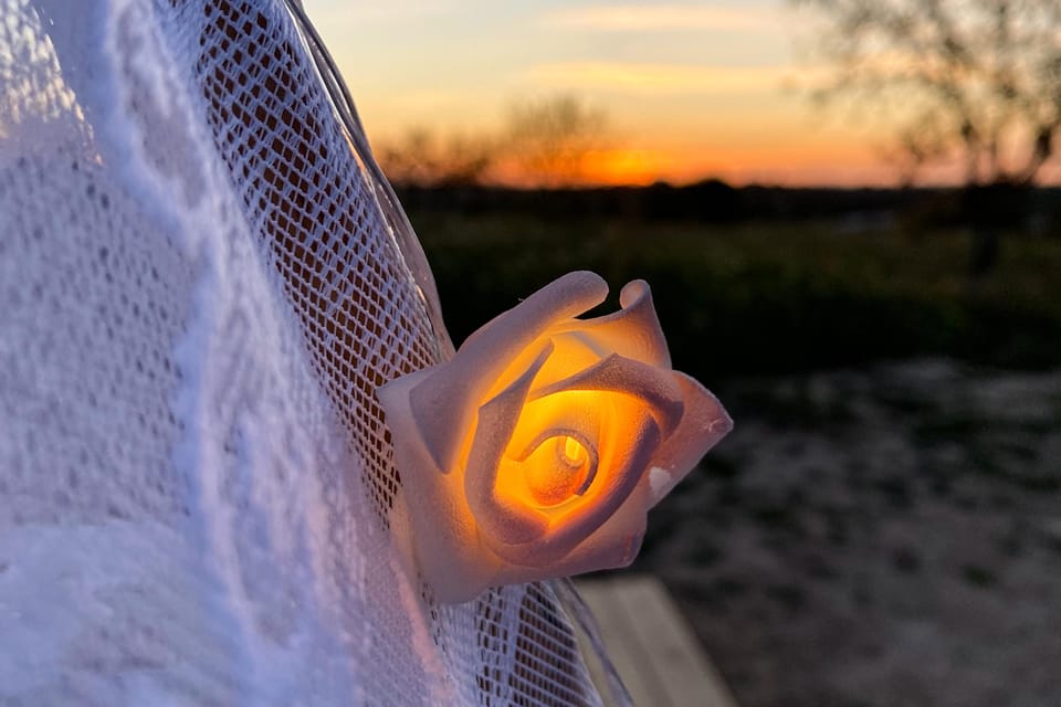 Carvoeiro, Portimão, Lagos: Algarve Romantic Vineyard Picnic - FAQs