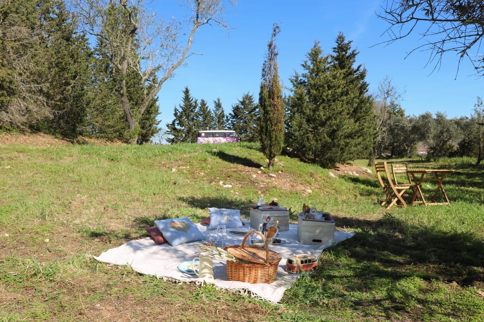 Carvoeiro, Portimão, Lagos: Algarve Romantic Vineyard Picnic - Final Thoughts
