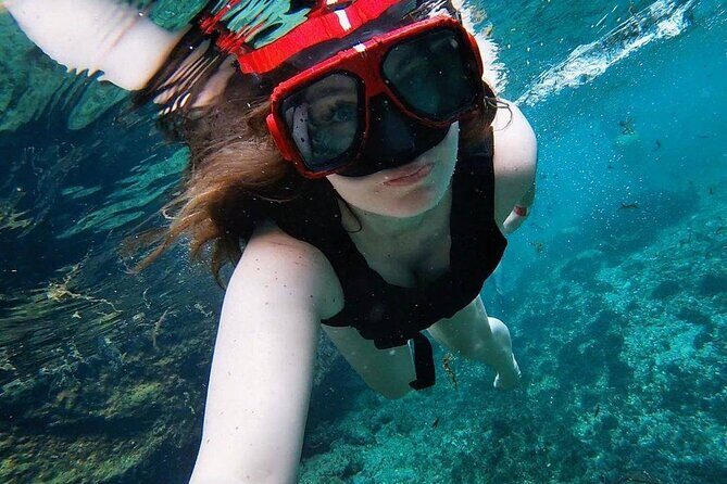 Casa Tortuga Eco Cenote Park+ Tulum Ruins! From Cancun & Playa Del Carmen - A Deep Dive into the Experience