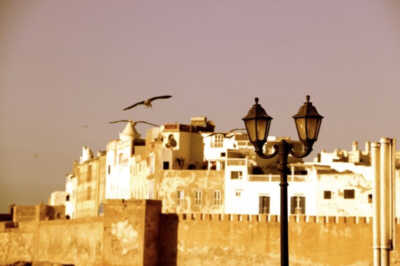 Casablanca: 3-Day Private Marrakech and Essaouira Tour - Camel Ride in La Palmeraie