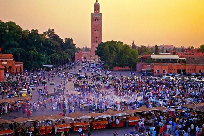 Casablanca Layover Private Tour to Marrakech With Airport Round-Trip Transfer - Tour Accessibility and Policies