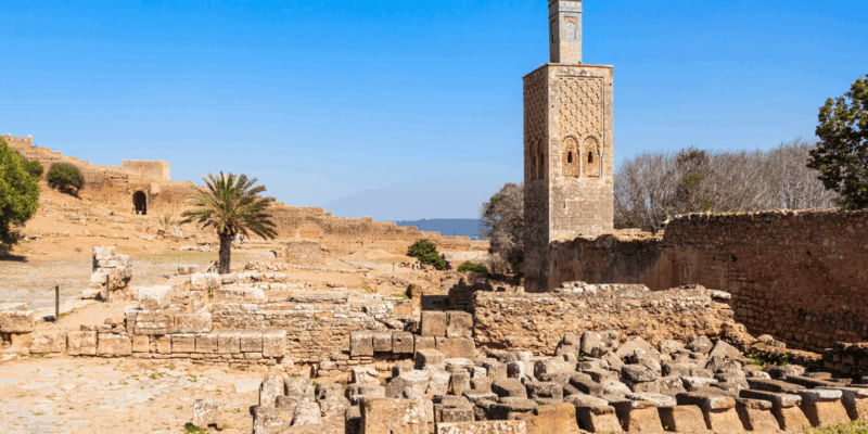 Casablanca & Rabat Full-Day Guided Tour - Delve Into Casablancas History