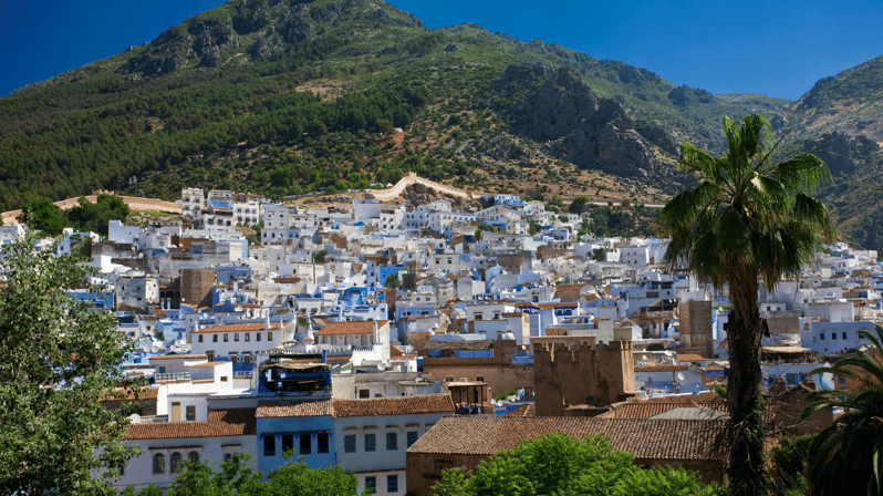 Casablanca to Chefchaouen and Fez: Private 3-Day Tour - Itinerary Highlights