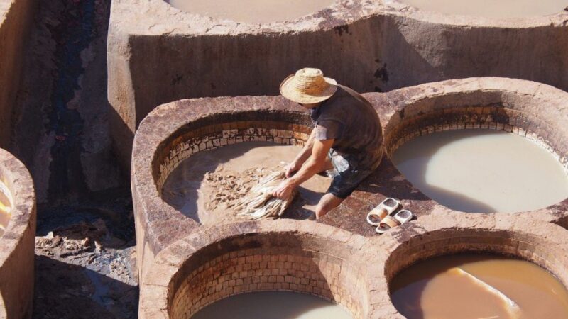 Casablanca To Fez Full-Day Trip - Historical Sites to Visit