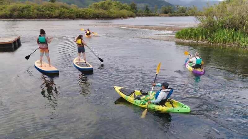 Cascade Locks: Columbia River Gorge Kayak Tour - What Some Reviews Say