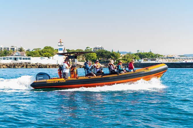 Cascais coast: Dolphin watching - Exploring Cascais Coast: Dolphin Watching Tour – An Authentic Marine Encounter