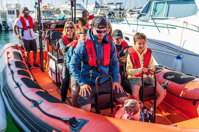 Cascais coast: Dolphin watching - Authentic Feedback from Travelers