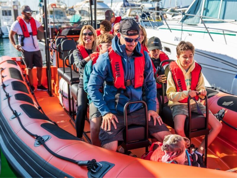 Cascais: Dolphin Watching Tour - An In-Depth Look at the Cascais Dolphin Watching Tour