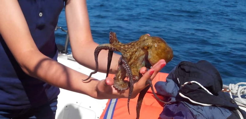 Cascais: Family Fishing - Cascais: Family Fishing — A Relaxing Coastal Adventure