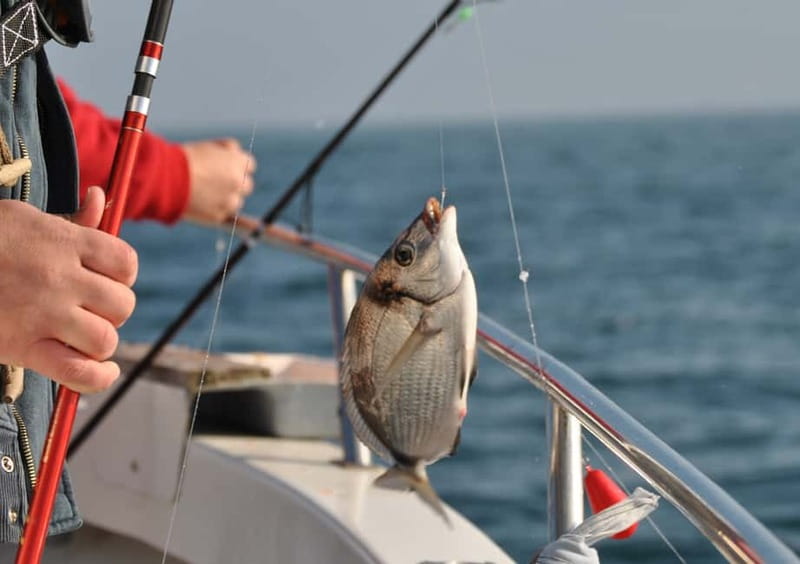 Cascais: Family Fishing - An Honest Look at the Cascais Family Fishing Tour