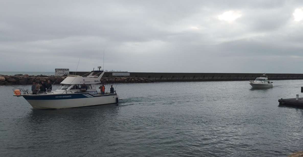 Cascais: Family Fishing With Welcome Drinks - Fishing Highlights