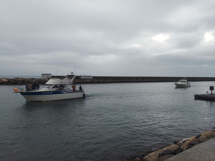 Cascais: Family Fishing With Welcome Drinks - Group Size and Accessibility