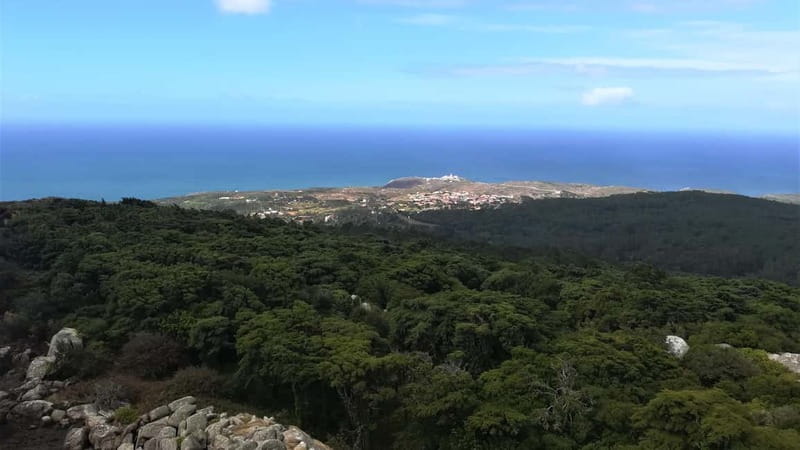 Cascais: Open Water Swimming and Hiking Experience - What Makes This Tour Stand Out