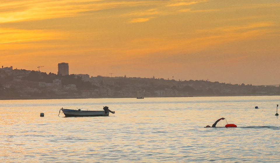 Cascais: Open Water Swimming - Navigating Marine Life