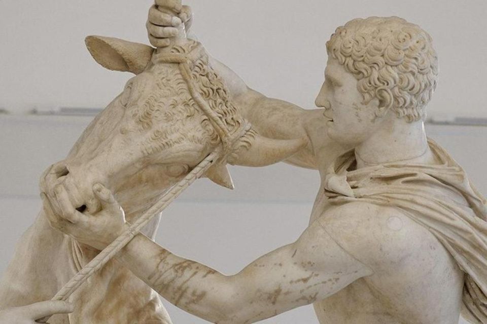 Caserta Royal Palace and Archeological Museum of Naples Tour - Accessibility and Group Information