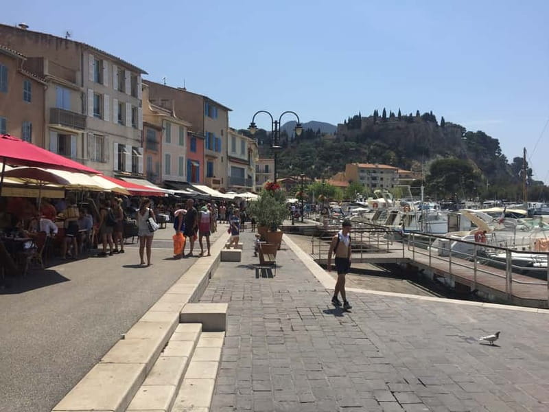 Cassis, Bandol, Le Castellet wine tour: Cliffs and Vineyards - An In-Depth Look at the Tour Experience