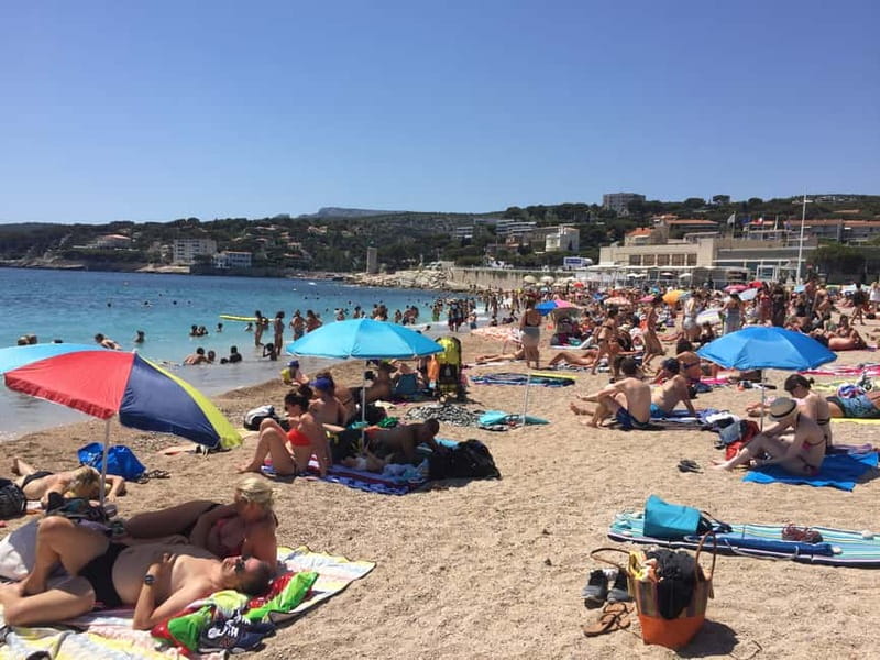 Cassis, Bandol, Le Castellet wine tour: Cliffs and Vineyards - Who Will Love This Tour?