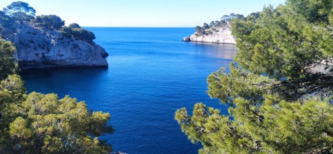 Cassis: Calanques National Park Guided Hiking Half-Day Trip - Discovering the Calanque Den-Vau