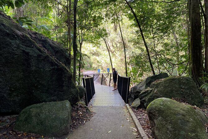 Cassowary Coast Goondoi Culture Tour - Who Should Consider This Tour?