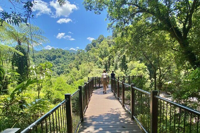 Cassowary Coast Goondoi Culture Tour - The Sum Up: Who Is This Tour Best For?